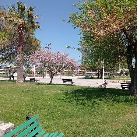 Apartment Perla