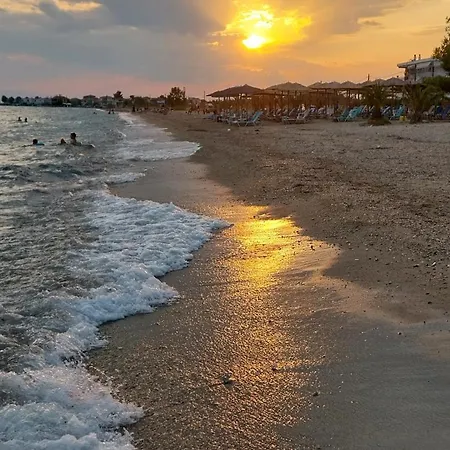 Perla Paralia Dionysiou
